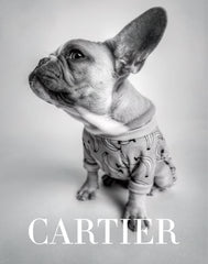 Fashion Photography - Cartier