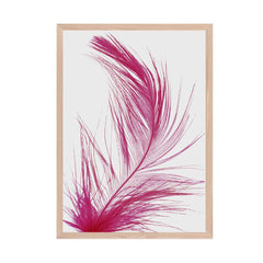 Feather Cerise