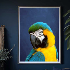 Indigo Blue & Yellow Parrot