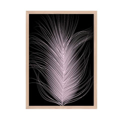 Delicate Pink Feather
