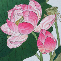 Lotus Flower - Ohara Koson