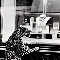 Fashion Photography - Cartier