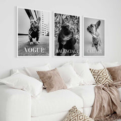 Fashion Photography Trio