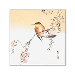 Orange Bird and Cherry Blossom - Ohara Koson