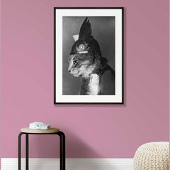 Brunnhilde Viking Cat - Weidhaas, Adolph Edward, Photographer