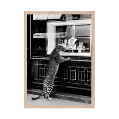 Fashion Photography - Cartier