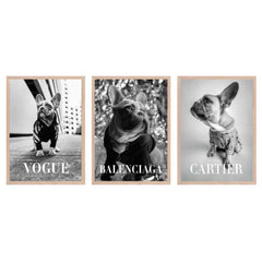 Fashion Photography Trio