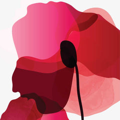 Radiant Abstract Poppy Trio Collection