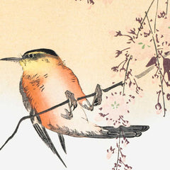 Orange Bird and Cherry Blossom - Ohara Koson