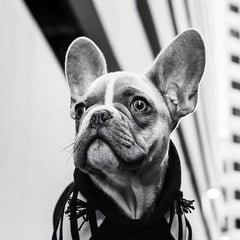 Fashion Photography - Vogue