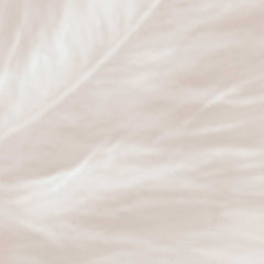 Light Beige Feather Wall Art