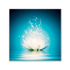 Zen White Lotus Flower