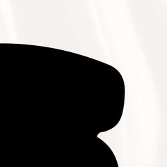 Singular Essence: Black on Beige