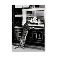 Fashion Photography - Cartier