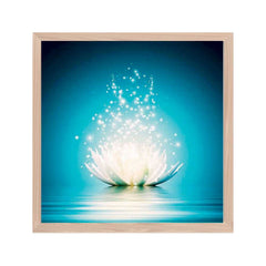 Zen White Lotus Flower