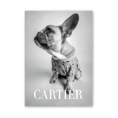 Fashion Photography - Cartier