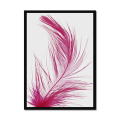 Feather Cerise