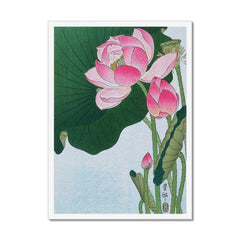 Lotus Flower - Ohara Koson