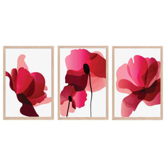 Radiant Abstract Poppy Trio Collection