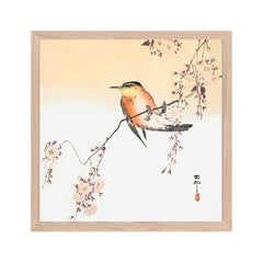 Orange Bird and Cherry Blossom - Ohara Koson
