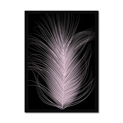 Delicate Pink Feather