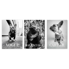 Fashion Photography Trio