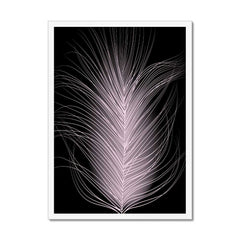 Delicate Pink Feather