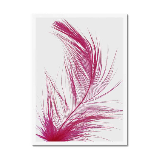 Feather Cerise