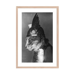 Brunnhilde Viking Cat - Weidhaas, Adolph Edward, Photographer