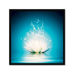 Zen White Lotus Flower
