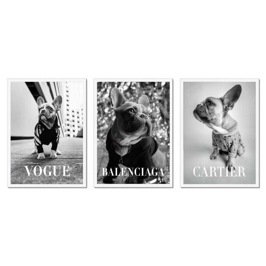 Fashion Photography Trio