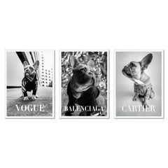 Fashion Photography Trio