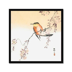 Orange Bird and Cherry Blossom - Ohara Koson