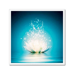 Zen White Lotus Flower