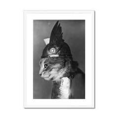 Brunnhilde Viking Cat - Weidhaas, Adolph Edward, Photographer