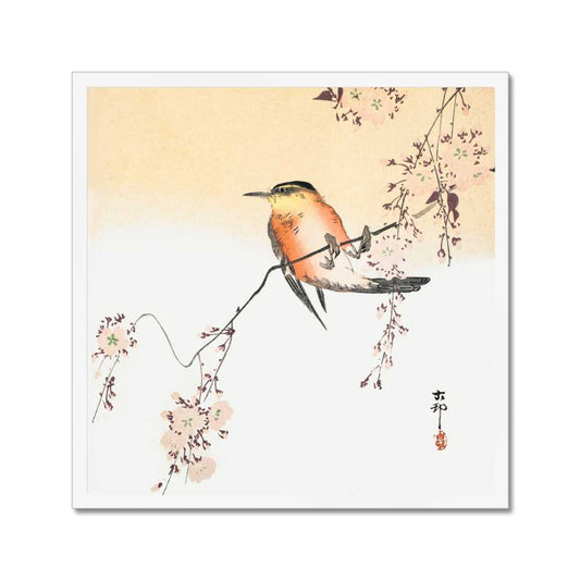 Orange Bird and Cherry Blossom - Ohara Koson