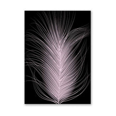 Delicate Pink Feather
