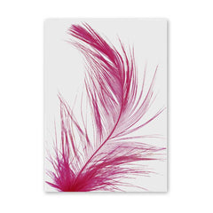 Feather Cerise