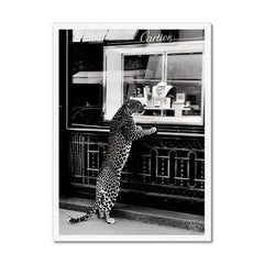 Fashion Photography - Cartier