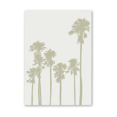 Whispers of the Oasis