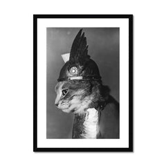Brunnhilde Viking Cat - Weidhaas, Adolph Edward, Photographer