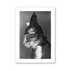 Brunnhilde Viking Cat - Weidhaas, Adolph Edward, Photographer