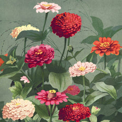 Flowers 1884