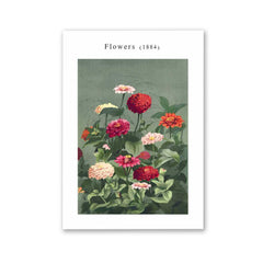Flowers 1884