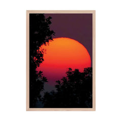 Japanese Sunset