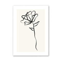 Black Rose - Line Art