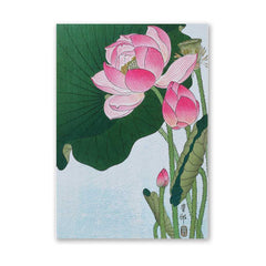 Lotus Flower - Ohara Koson