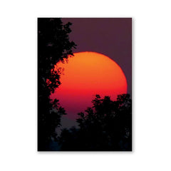 Japanese Sunset