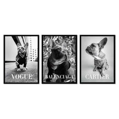 Fashion Photography Trio