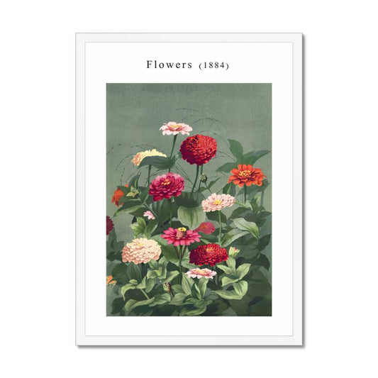 Flowers 1884